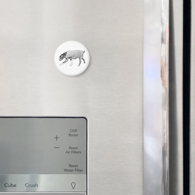 Familiar Paths Remembered Magnet (In Situ (Fridge))