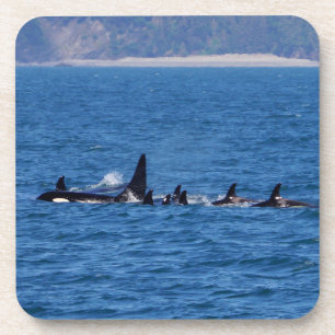 Families Stick Together Coaster