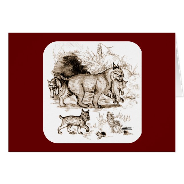 Famille Bobcat (Devant Horizontal)