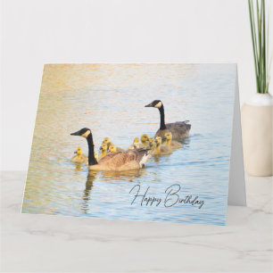 Famille canadienne d'oies - Carte d'anniversaire