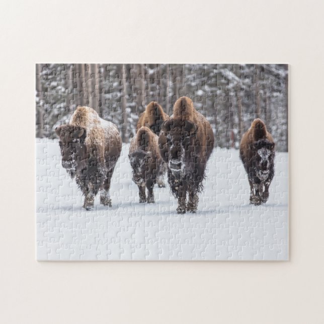 Famille de bisons dans le puzzle de neige (Horizontal)