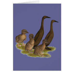 Famille de canards coureurs au chocolat
