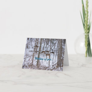 Famille De Cerfs En Neige Pensant À Votre Carte