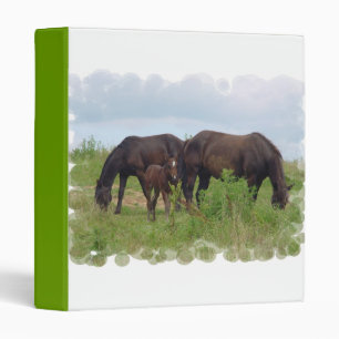 Famille de cheval s'éraflant le classeur