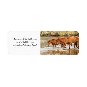 Famille de chevaux Brown à la rivière