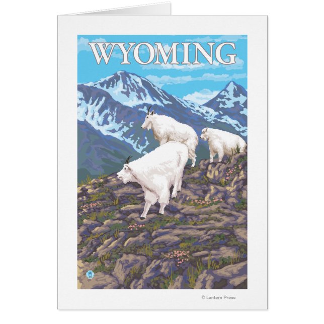 Famille de chèvres de montagne blanchesWyoming (Devant)