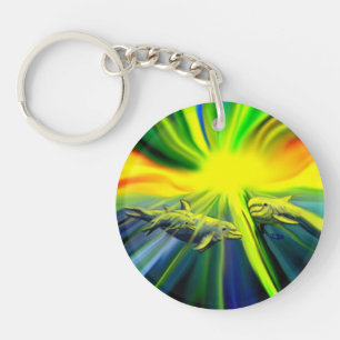 Famille de dauphins sous le soleil