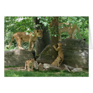 Famille de lion à la carte de jeu