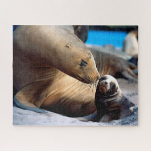 Famille de lions de mer, Puzzle de Jigsaw