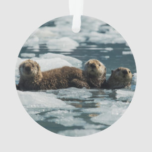 Famille de loutre de mer