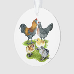 Famille de poulets Ameraucana