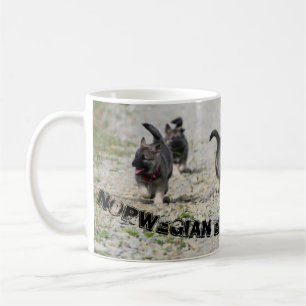 Famille d'Elkhound de Norvégien de tasse