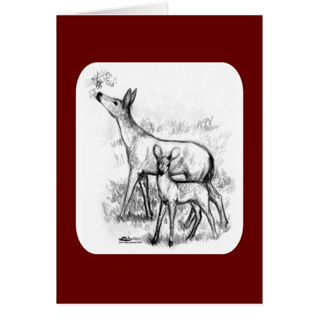 Famille des cerfs (Devant)