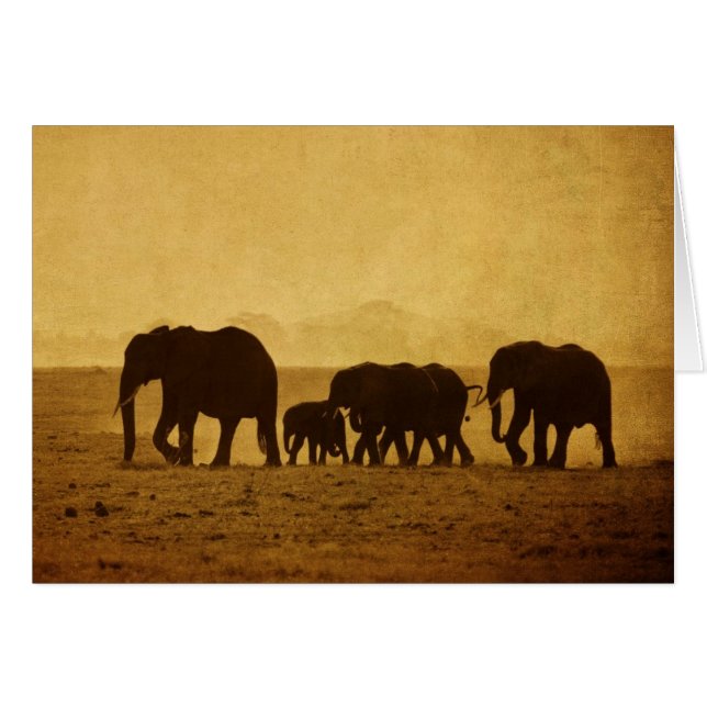 Famille des éléphants (Devant horizontal)
