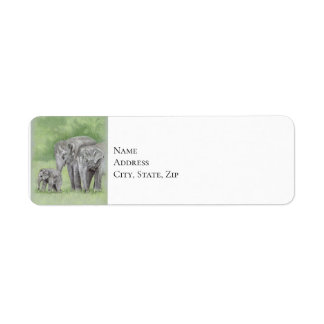 Famille des éléphants