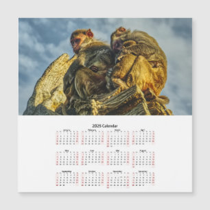 Famille des singes Carte magnétique calendrier 202
