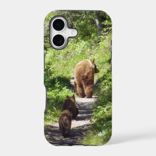 Famille d'ours brun