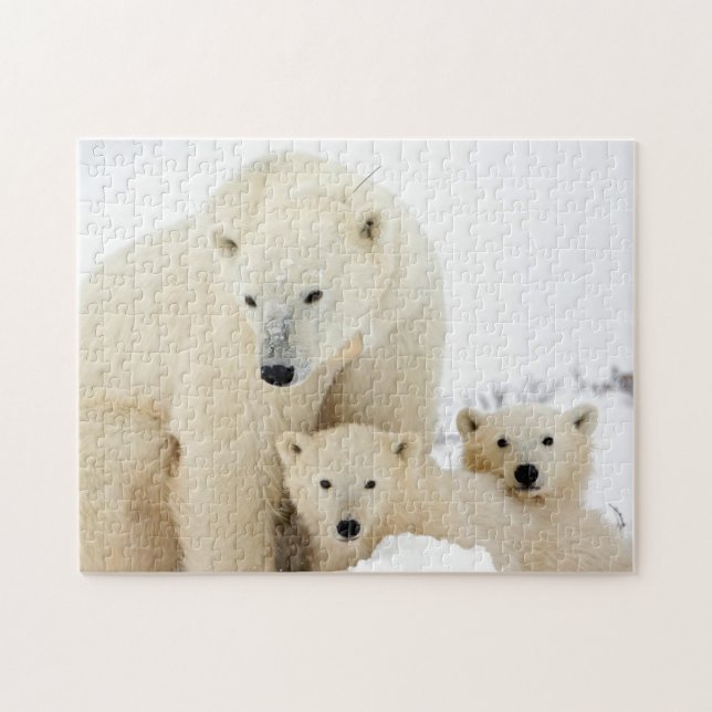 Famille Ours Polaire, Puzzle (Horizontal)
