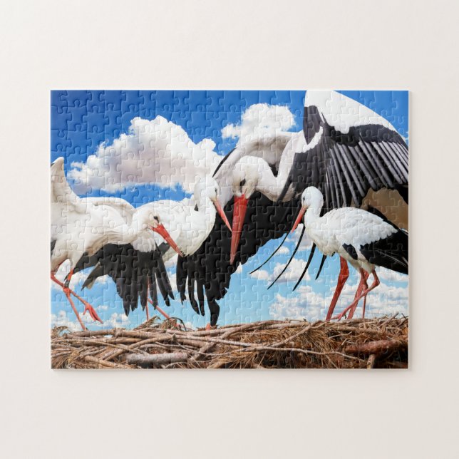 Famille Stork, Puzzle Jigsaw (Horizontal)