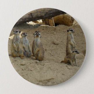 family 4 inch round button
