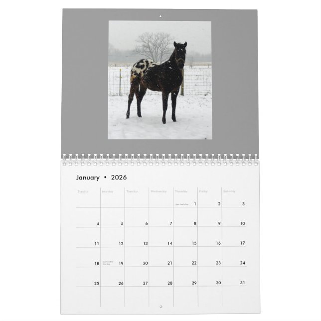Family Appaloosas 2011 Calendar (Jan 2026)