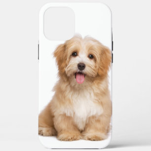 Family Dog Your Pet Photo iPhone 12 Pro Max Case