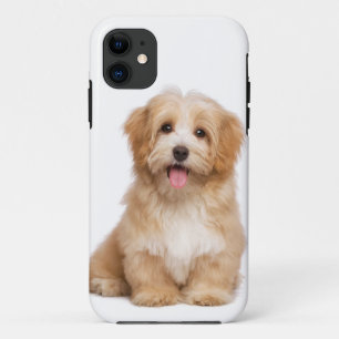 Family Dog Your Pet Photo iPhone 11 Case