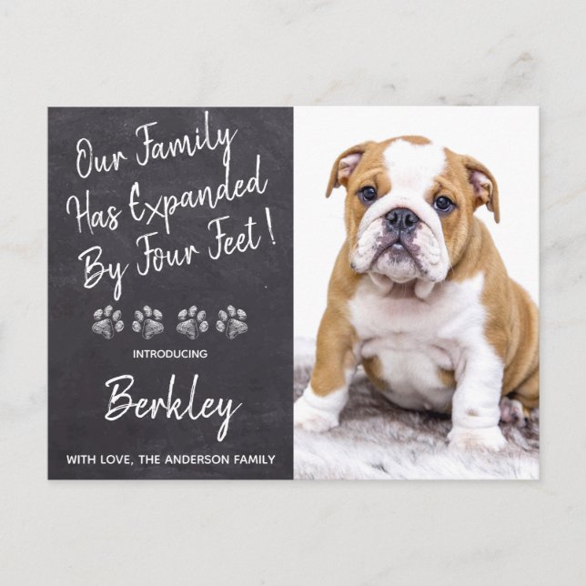 Family Expanded by Four Feet New Pet Puppy Dog Announcement Postcard (Front)