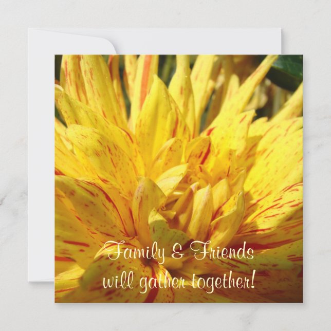 Family Friends gather together! Invitations Dahlia (Front)