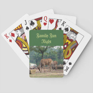 Family fun night playing cards, gazelle cards