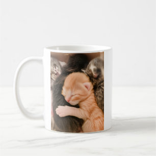 Family Is Everything, Kitten Coffee Mug