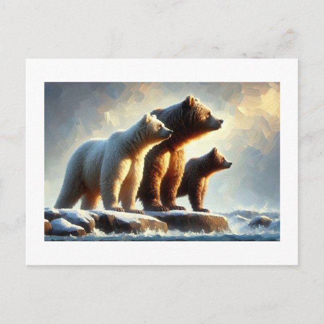 Family of Bears,  Postcard (Front)