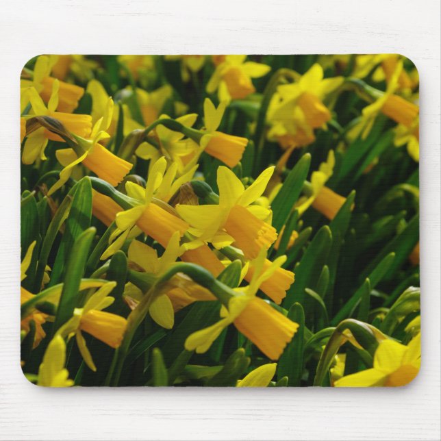 Family Of Daffodils Mouse Pad (Front)