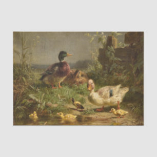 Family of Ducks by Carl Jutz Tissue Paper