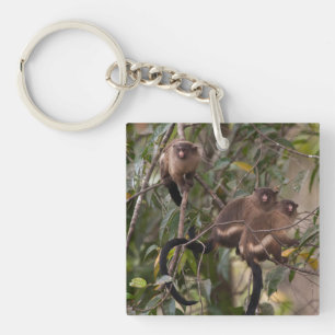 Family of Marmoset Monkeys Keychain
