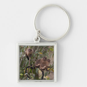 Family of Marmoset Monkeys Keychain