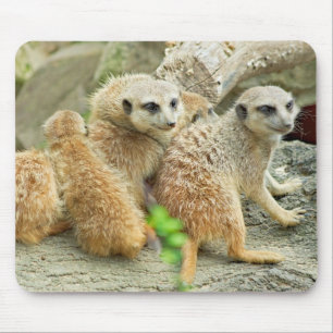 Family of meerkats - Mousepad