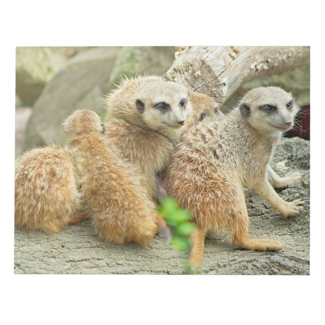 Family of meerkats - Notepad (Front)
