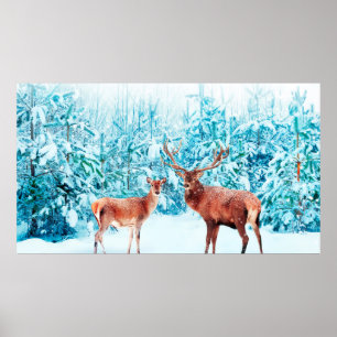 Family of noble deer in a snowy winter. Christmas Poster