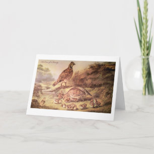 Family of Quail Greeting Card