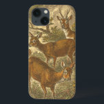 Family of Roe - Deers in a Forest iPhone 13 Case<br><div class="desc">This painting by artist Friedrich Specht represents a family 4 roe-deers in a forest. The old style painting shows beautiful neutral and authentic colours of the roe-deer family. Customize your favourite Zazzle product using this beautiful image.</div>