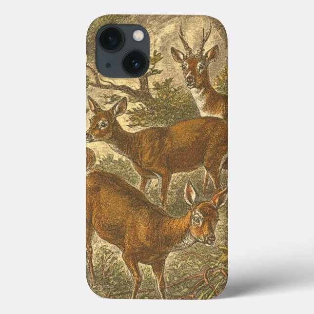 Family of Roe - Deers in a Forest Case-Mate iPhone Case (Back)