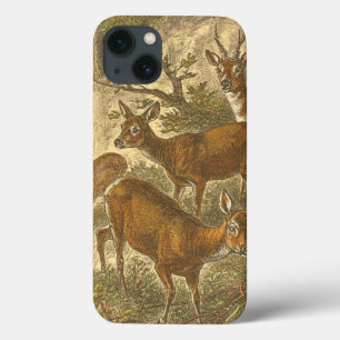 Family of Roe - Deers in a Forest iPhone 13 Case