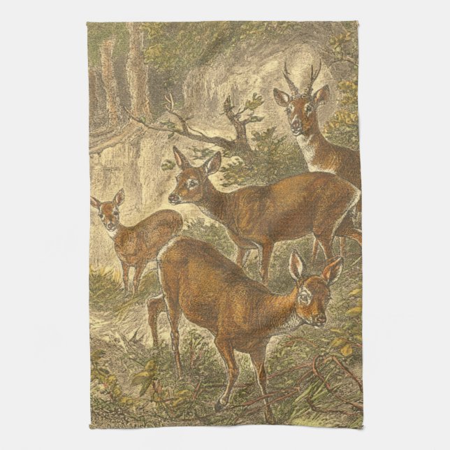 Family of Roe - Deers in a Forest Kitchen Towel (Vertical)