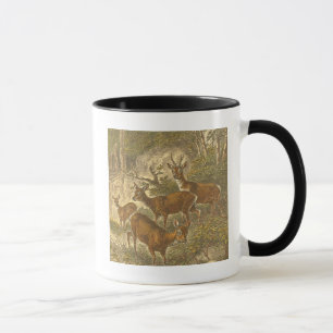 Family of Roe - Deers in a Forest Mug