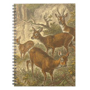 Family of Roe - Deers in a Forest Notebook