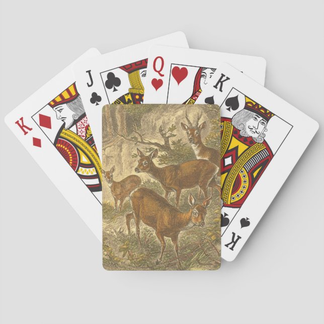 Family of Roe - Deers in a Forest Playing Cards (Back)