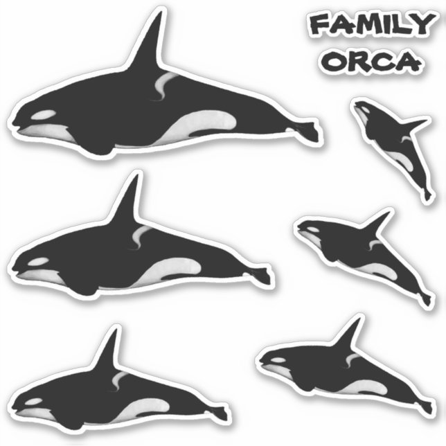 FAMILY ORCA WHALE (Front)