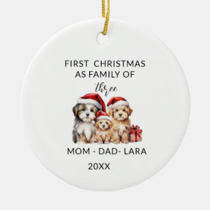 Family ornament as Christmas tree decoration