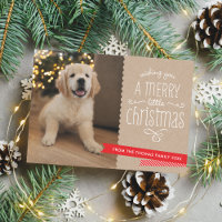 FAMILY PET modern fun whimsical typography rustic